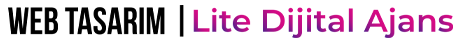 Web Tasarım | Lite Dijital Ajans